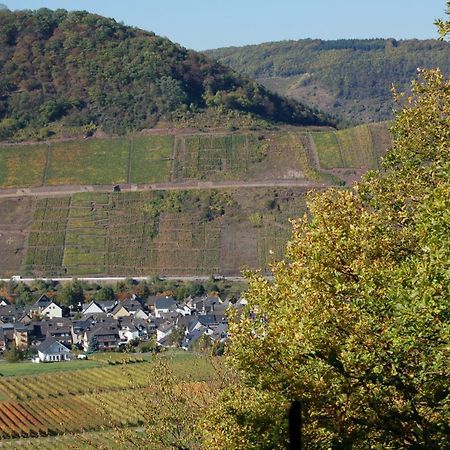 Ferienhaus Mosel Bub Bruttig-Fankel Exterior photo