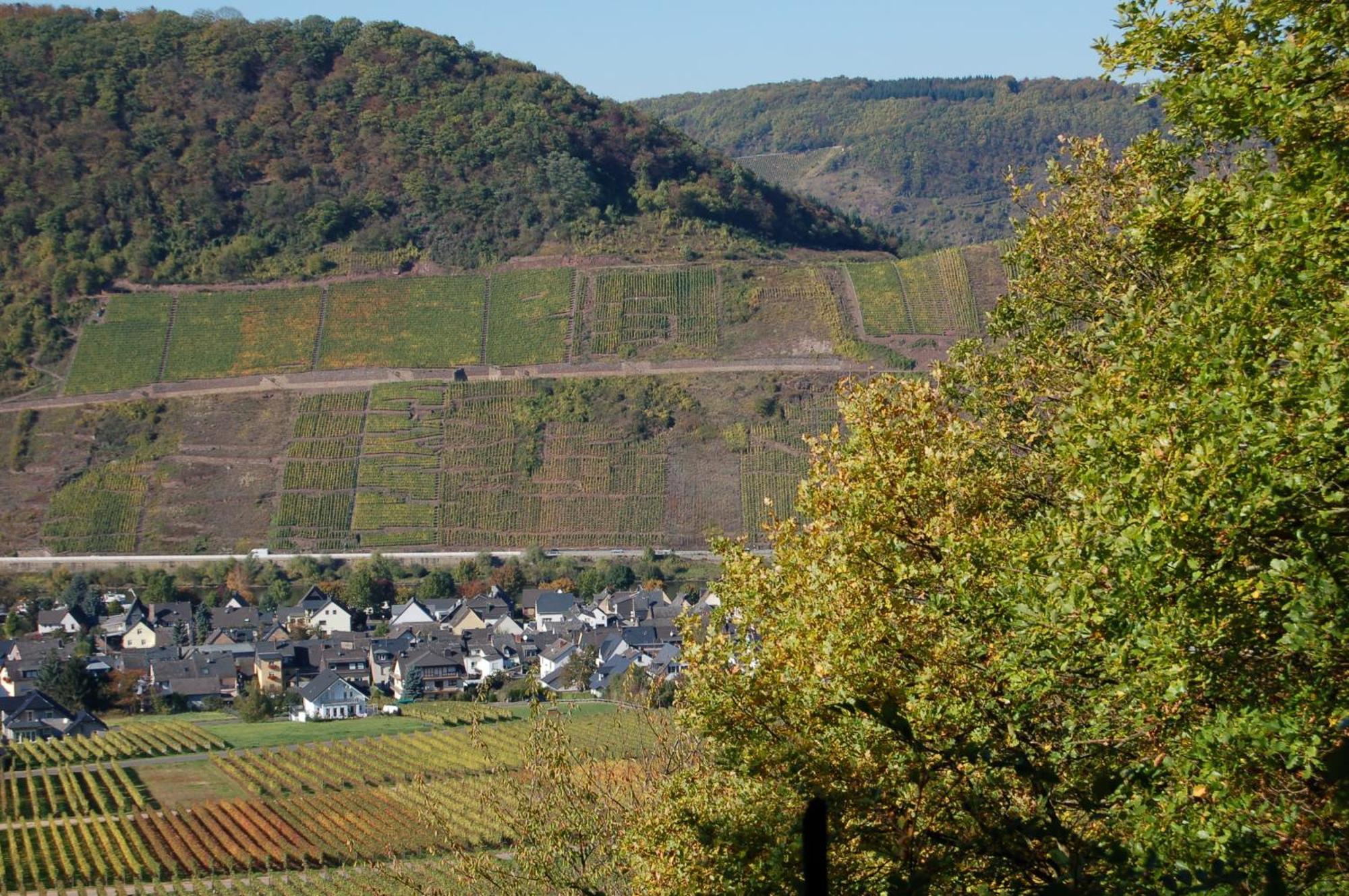 Ferienhaus Mosel Bub Bruttig-Fankel Exterior photo