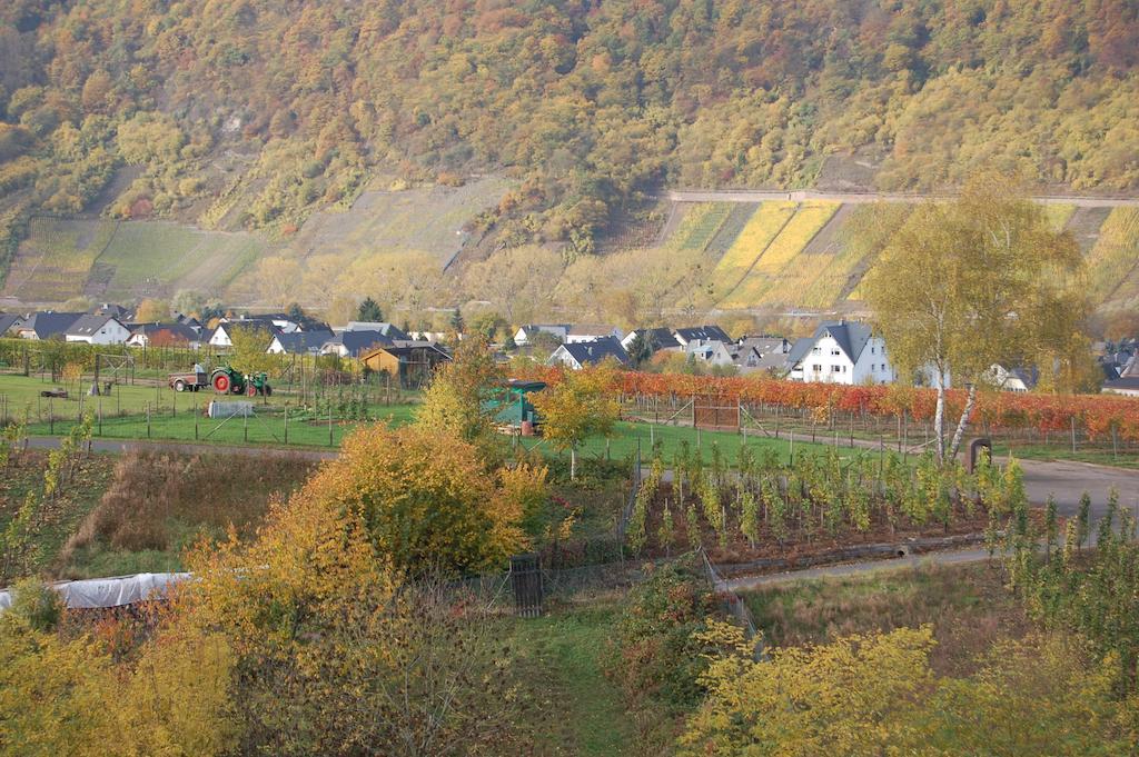 Ferienhaus Mosel Bub Bruttig-Fankel Room photo
